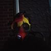 jasonburch661